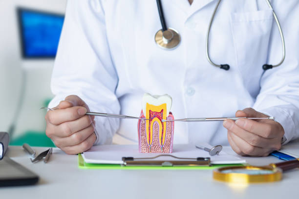 Best Emergency Dental Care for Trauma or Injury in Bushnell, IL